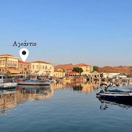 «Αγναντιο L» Δωμάτιο Με Μοναδική Θέα! Мирина Экстерьер фото
